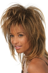 Tina Turner Wig