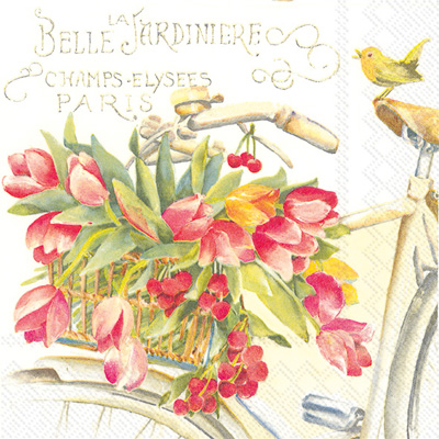 Belle La Jardiniere Cocktail Napkin