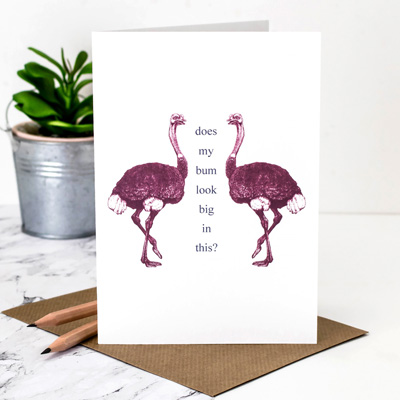 Coulson Macleod Ostrich Greeting Card