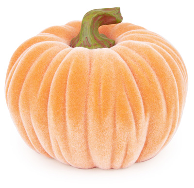 Medium Velvet Pumpkin Orange