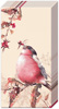 PTBeautiful Bullfinch cream