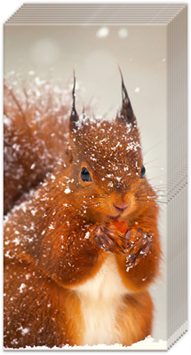 Winter Squirrel Pocket Tissue