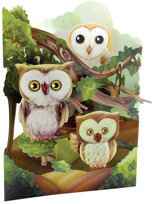 Display CardOwls