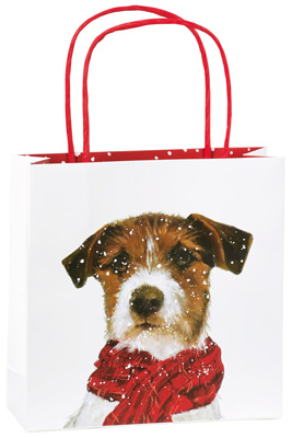 Archie Gift Bag