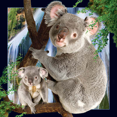 Worth Keeping Koala 4D Card