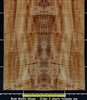 Koa Golden Hawaiian Guitar QC Wavy Fiddleback wood veneer