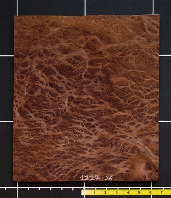 Redwood Burl wood veneer