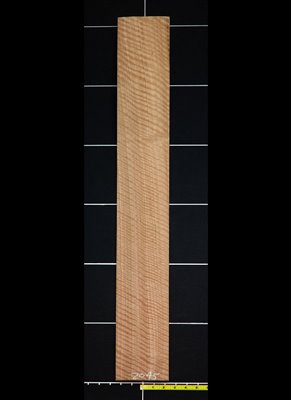 Eucalyptus QC Curly wood veneer