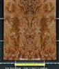 Redwood .7mm Guitar Small Quilted Burl wood veneer