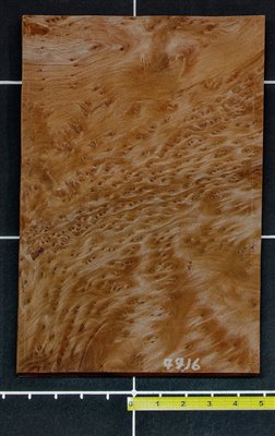 Redwood .7mm Swirly Burl wood veneer