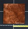 Redwood Quilted Raindrop Burl wood veneer