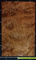 Redwood .7mm Burly Quilt wood veneer