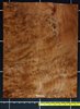 Redwood .7mm Burly Quilt wood veneer