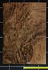 Walnut USA Angel Step Quilt wood veneer