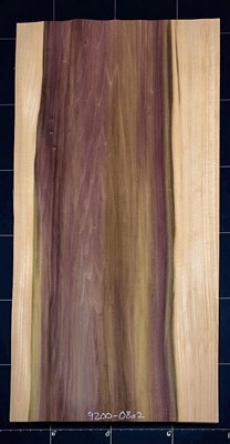 Poplar HR Rainbow wood veneer