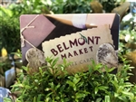 Belmont Market Gift Card