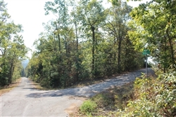 Arkansas, Sharp County, Cherokee Village, Lot 10 Block 11, Electricity, Water. TERMS: $51/Month