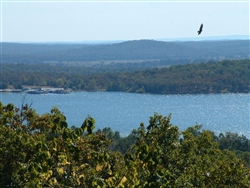 Arkansas, Izard County, 1/3 Acre Horseshoe Bend (Diamond Cove). TERMS $75/Month