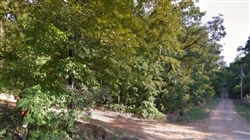 Arkansas, Ozark County, 0.26 Acre, Ozark Acres. TERMS $125/Month