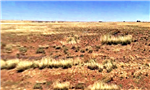 Arizona, Navajo County, 1.25 Acres Arizona Rancho, Lot 45. TERMS $50/Month