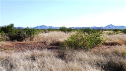 Arizona, Cochise County, .21 Acre Cochise College Estates. TERMS $100/Month