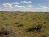 Arizona, Coconino County, 1.25 Acre Grand Canyon Estates. TERMS $126/Month