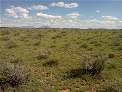 Arizona, Coconino County, 1.03 Acre Grand Canyon Estates. TERMS $126/Month