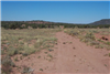 Arizona, Navajo County, 1.17 Acres Ranch of the Golden Horse, Lot 806 Unit 4. TERMS $56/Month