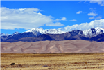 Colorado, Costilla County, 5.00 Acres Mount Blanca Estates, Lot 17 Block 19 Unit 2.  TERMS $128/Month