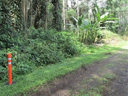 Hawaii, Hawaii County, 1/4 Acre Nanawale Estates, Hibiscus Road. TERMS $150/Month