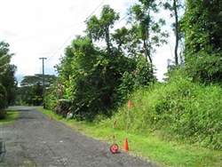 Hawaii, Hawaii County, 2 Adjoining 1/4 Acre Nanawale Estates, Electricity. TERMS $320/Month