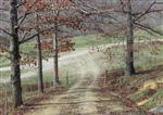 Kentucky, Laurel County, 12.12 Acre Serenity Creek, Lot 5. TERMS $779/Month