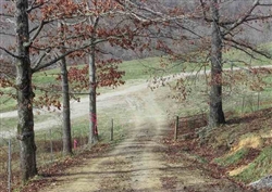 Kentucky, Laurel County, 9.65 Acre Serenity Creek, Lot 8. TERMS $534/Month