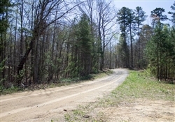 Kentucky, Rock Castle County, 16.02 Acres Chestnut Oak Ridge, Lot 1. TERMS $674/Month