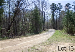 Kentucky, Rock Castle County, 12.51 Acres Chestnut Oak Ridge, Lot 13. TERMS $320/Month