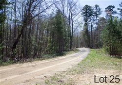 Kentucky, Rock Castle County, 9.65 Acres Chestnut Oak Ridge, Lot 25. TERMS $365/Month