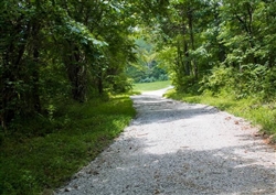 Kentucky, Wayne County, 5.49 Acre Bluewater Ridge, Lot 11. TERMS $320/Month