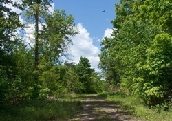 Kentucky, Wayne County, 6.84 Acre Riverbend, Lot 10, Water View. TERMS $543/Month