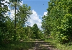 Kentucky, Wayne County, 6.71 Acre Riverbend, Lot 19. TERMS $464/Month