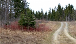 Maine, Aroostook County, 2.5 Acres Sunrise Estates, Electricity. TERMS $125/Month