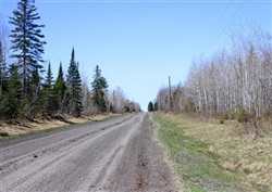 Michigan, Baraga County, 40 Acre Abby Point. TERMS $596/Month