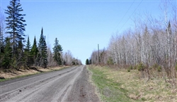 Michigan, Baraga County, 10 Acre Abby Point. TERMS $175/Month