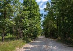 Missouri, Shannon County, 5.02 Acre Borgmannâ€™s Hollow Phase I, Lot 7. TERMS $180/Month