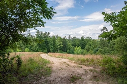 Missouri, Reynolds County, 5.55 Acres  Cypress Ridge, Lot 6. TERMS $736/Month