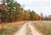 Missouri, Reynolds County, 7.93 Acres Hawkcrest, Lot 31. TERMS $995/Month
