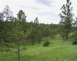 Montana, Musselshell County, 20 Acres Near Roundup. TERMS $530/Month