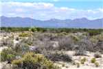New Mexico, Luna County, 0.50 Acre Deming Ranchettes, Lot 8 Block 10. TERMS $31/Month