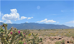 New Mexico, Valencia County, 0.25 Acre Rio Del Oro, Lot 1 Block 27. TERMS $34/Month