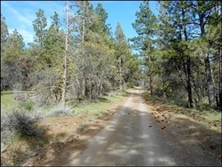 Oregon, Klamath  County, 2.56 Acres Klamath Falls Forest Estates TERMS $160/Month