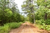 Oklahoma, Latimer  County, 6.99 Acre Stone Bridge V, Lot 349 TERMS $214/Month